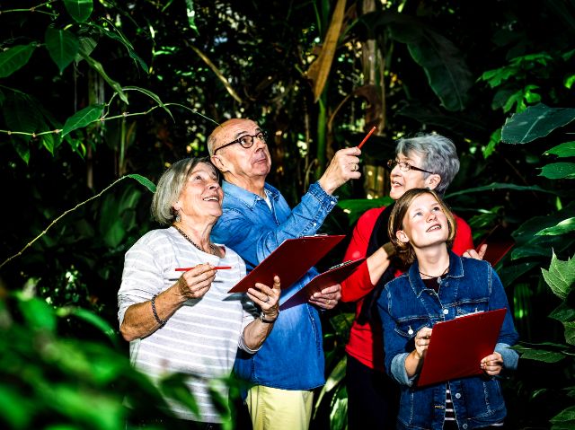 Eine Gruppe spaziert und staunt im Botanischen Garten