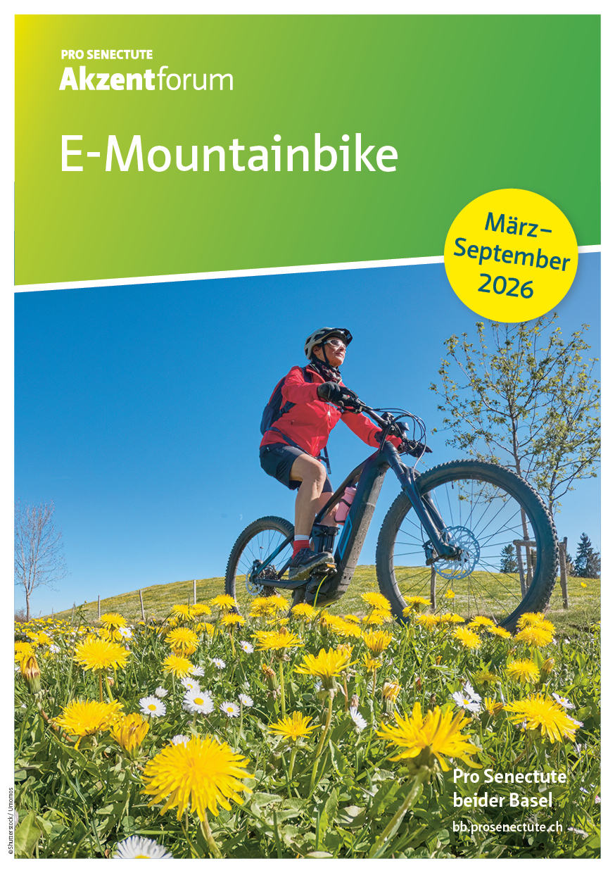 Flyer E-Mountainbike